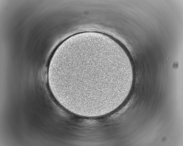 X0000101991509200808151412