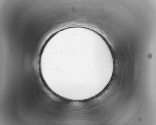 X0000101991511200808151412