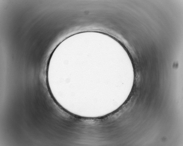 X0000101991512200808151412