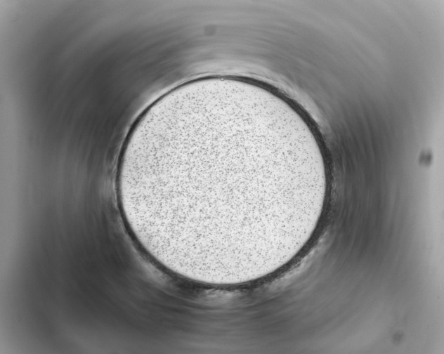 X0000101991513200808151412