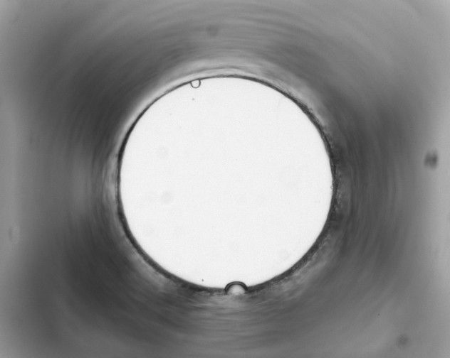 X0000101991516200808151412