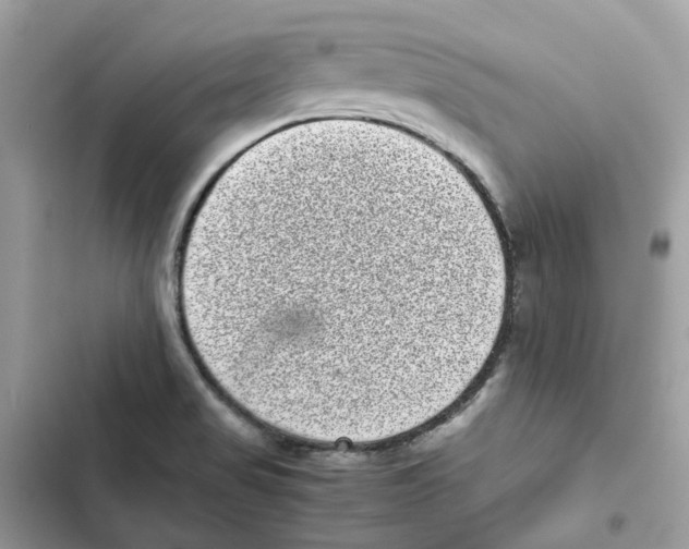 X0000101991517200808151412