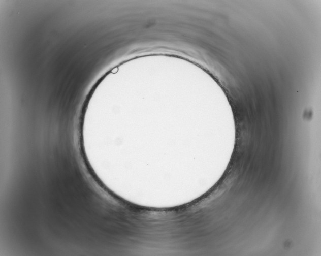 X0000101991518200808151412