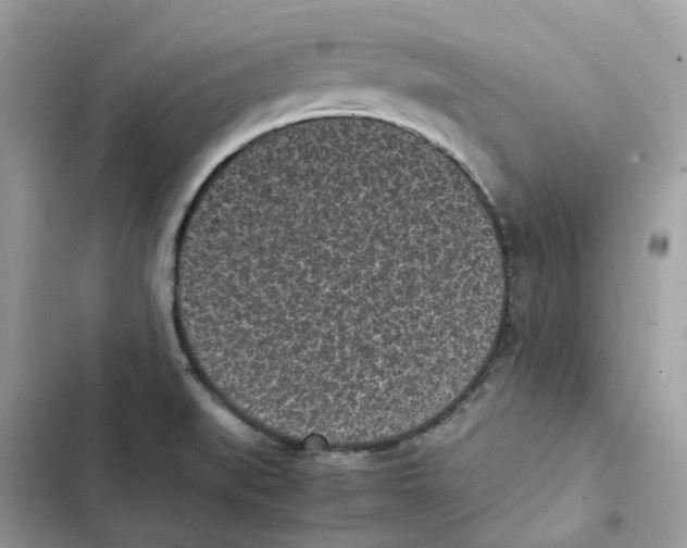 X0000101991519200808151412