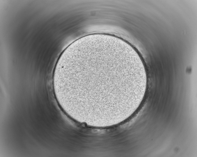 X0000101991521200808151412