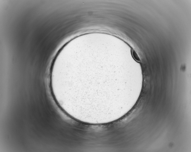X0000101991523200808151412