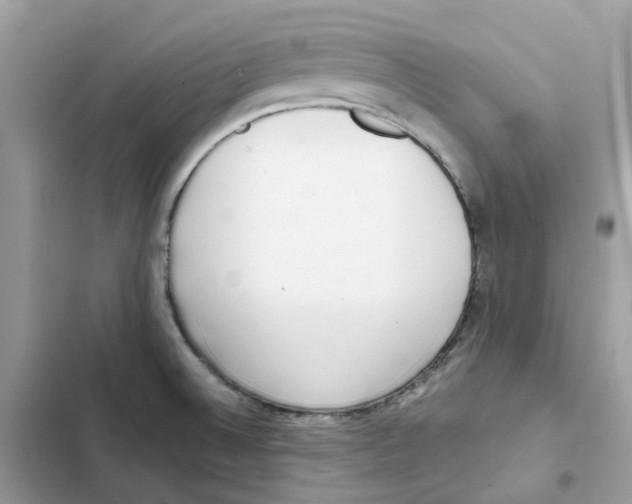 X0000101991524200808151412