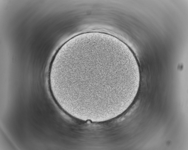 X0000101991525200808151412