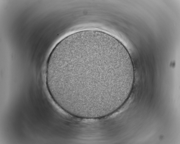 X0000101991526200808151412