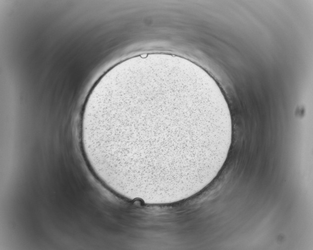 X0000101991527200808151412