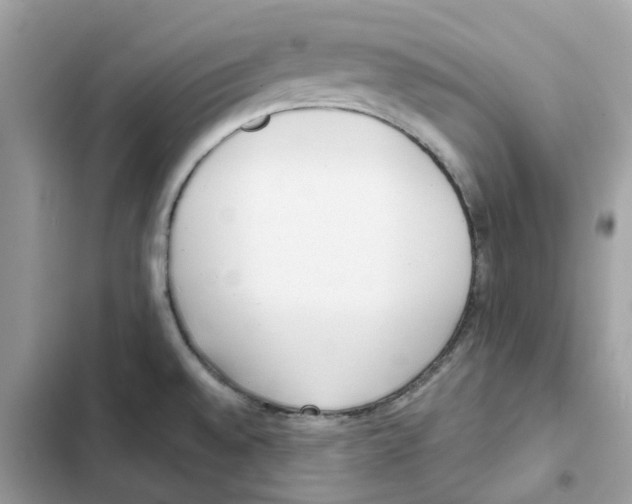 X0000101991528200808151412