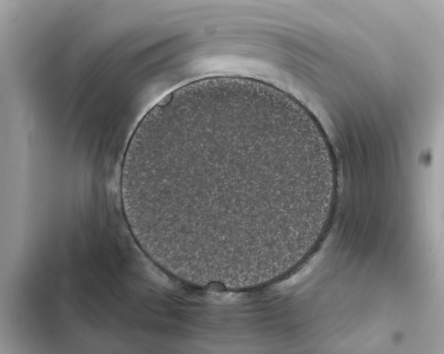 X0000101991529200808151412