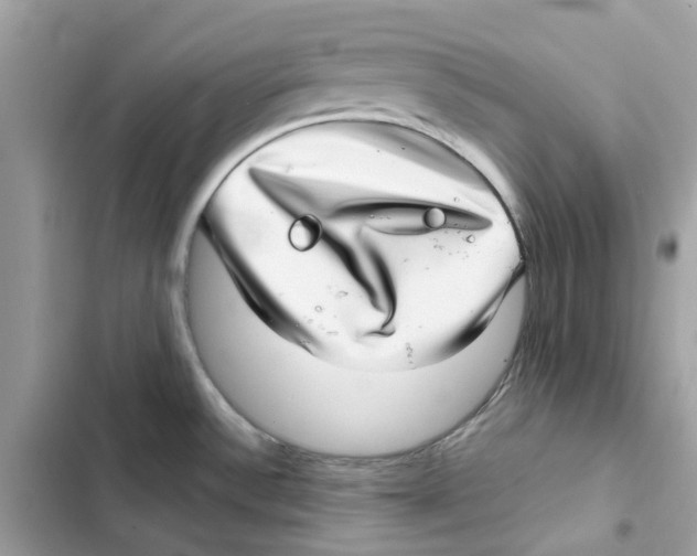 X0000101991532200808151412