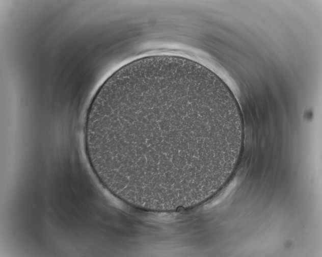 X0000101991533200808151412