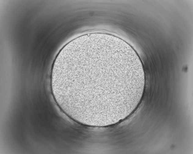 X0000101991534200808151412