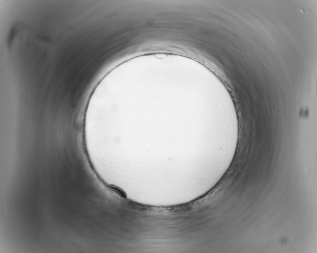 X0000101991536200808151412