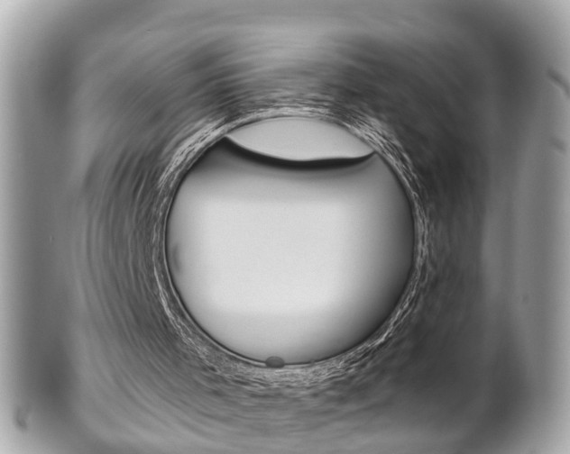 X0000102000001200807180859