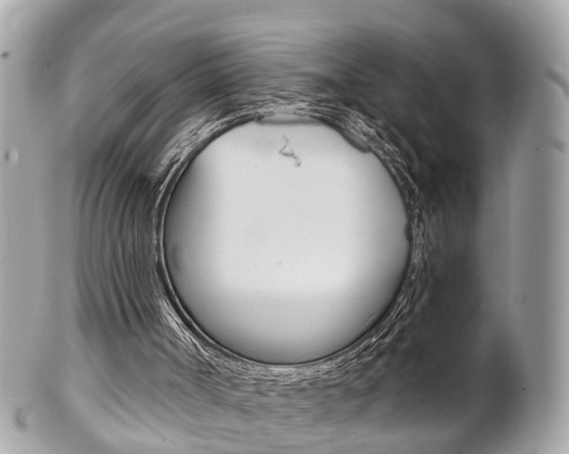 X0000102000002200807180859