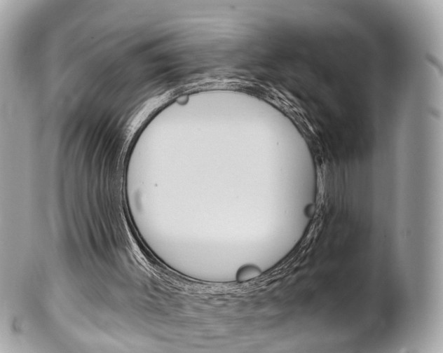 X0000102000003200807180859