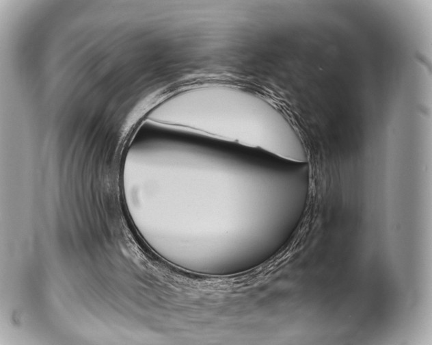 X0000102000004200807180859