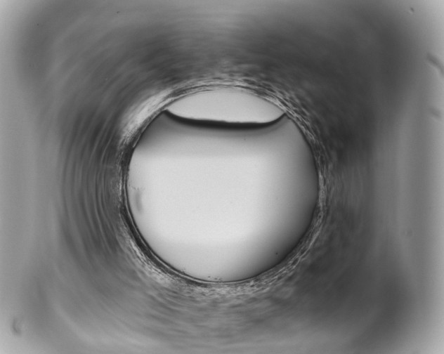 X0000102000005200807180859