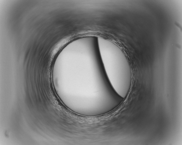 X0000102000006200807180859