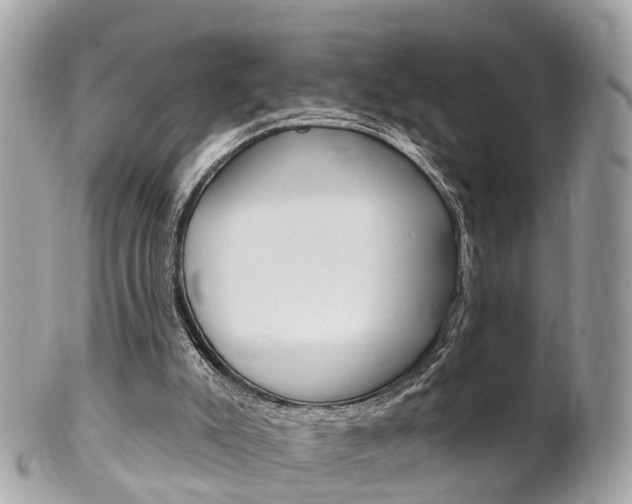 X0000102000007200807180859