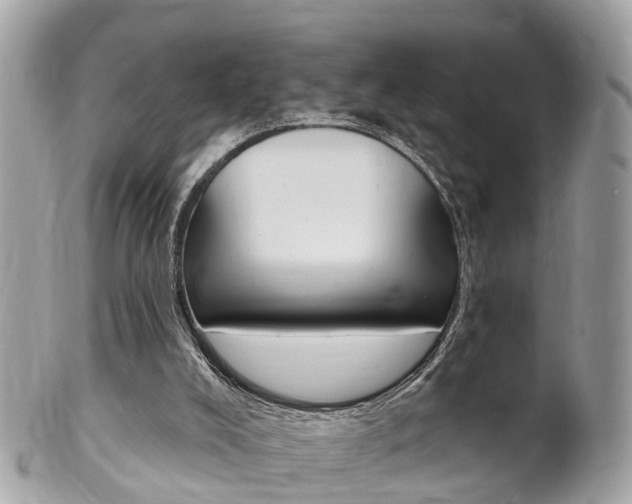 X0000102000008200807180859