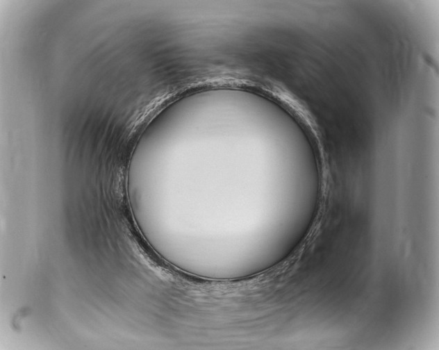 X0000102000009200807180859