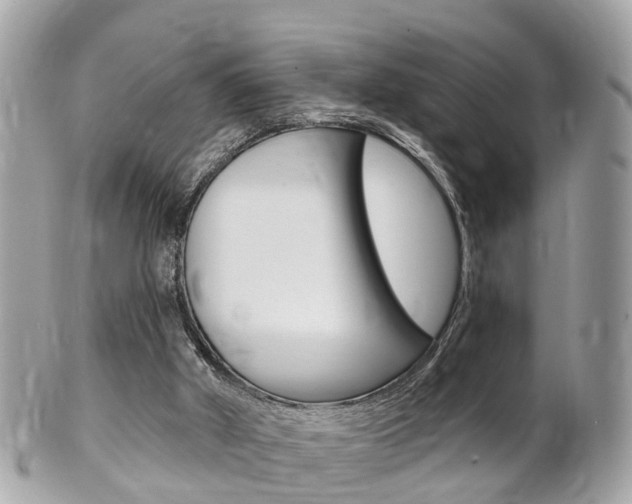 X0000102000010200807180859