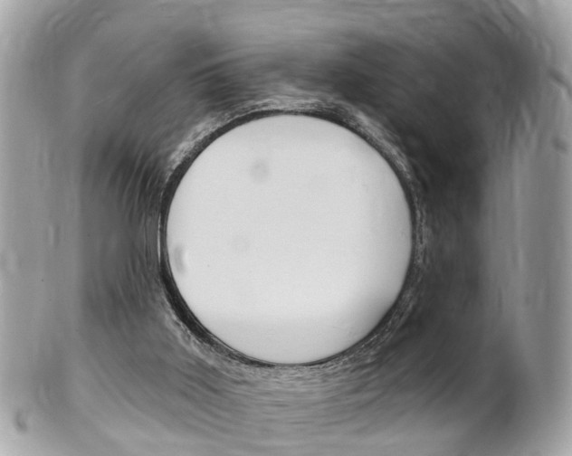 X0000102000011200807180859