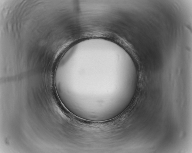 X0000102000012200807180859