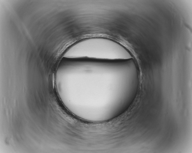 X0000102000013200807180859