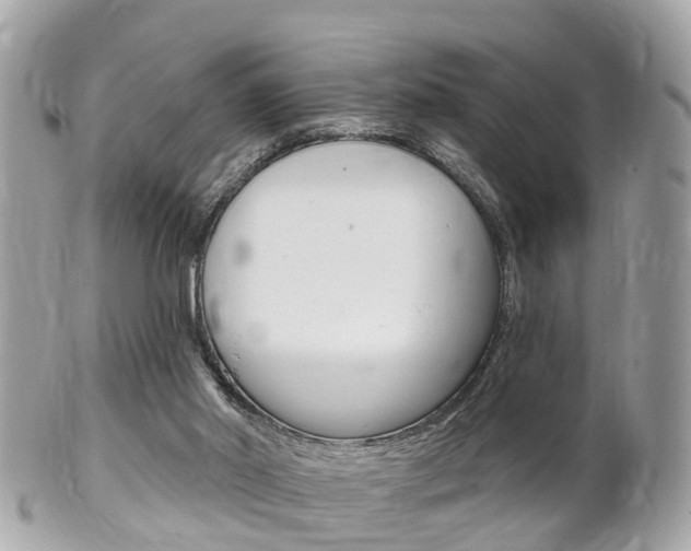 X0000102000014200807180859