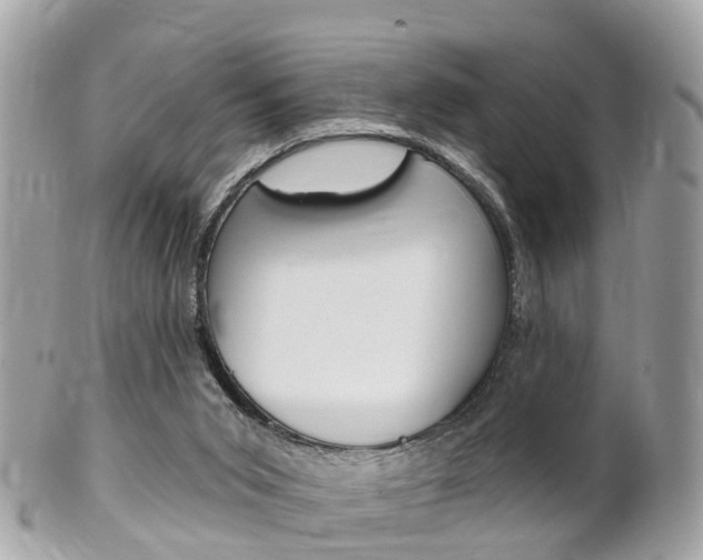 X0000102000015200807180859