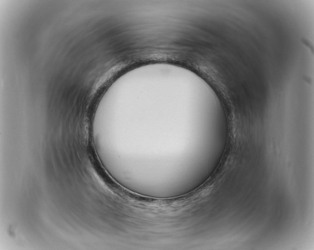 X0000102000016200807180859