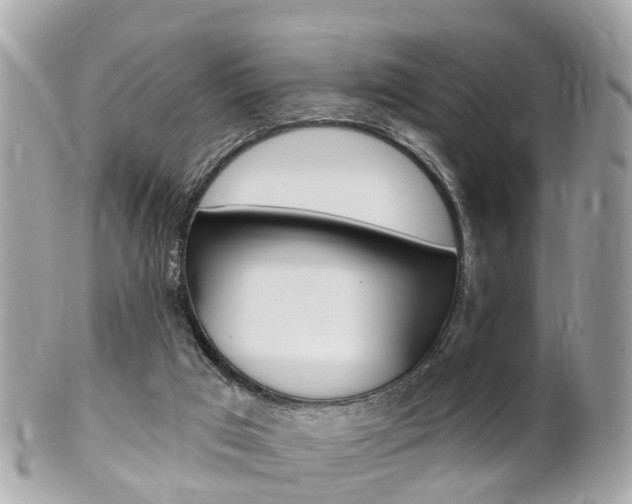 X0000102000017200807180859