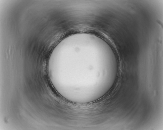 X0000102000018200807180859