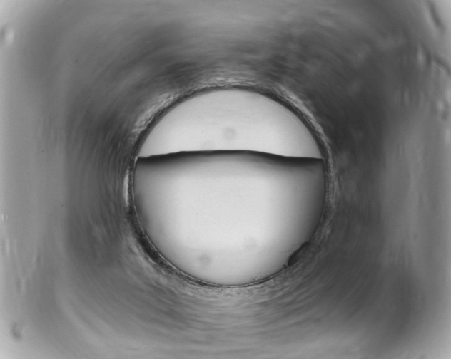 X0000102000019200807180859