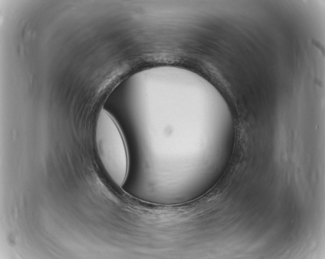 X0000102000020200807180859