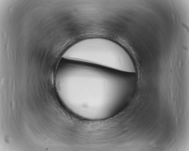 X0000102000021200807180859