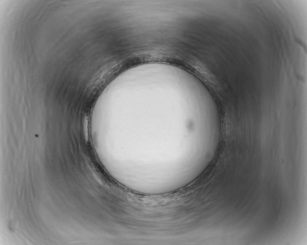 X0000102000022200807180859