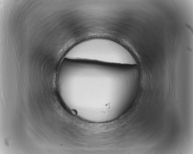 X0000102000023200807180859