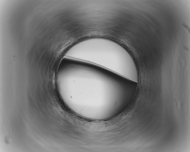 X0000102000024200807180858