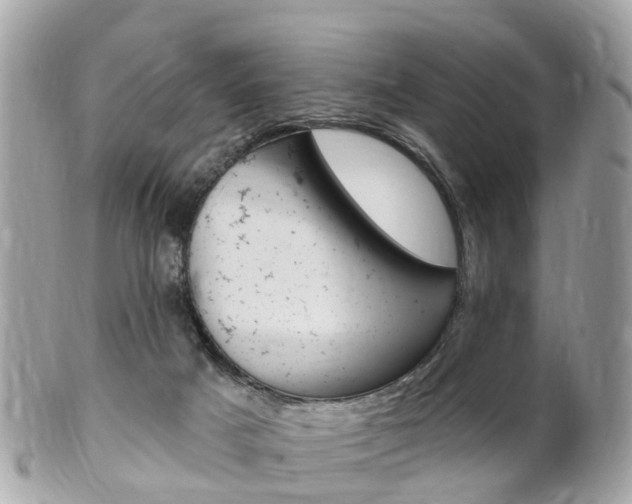 X0000102000025200807180858