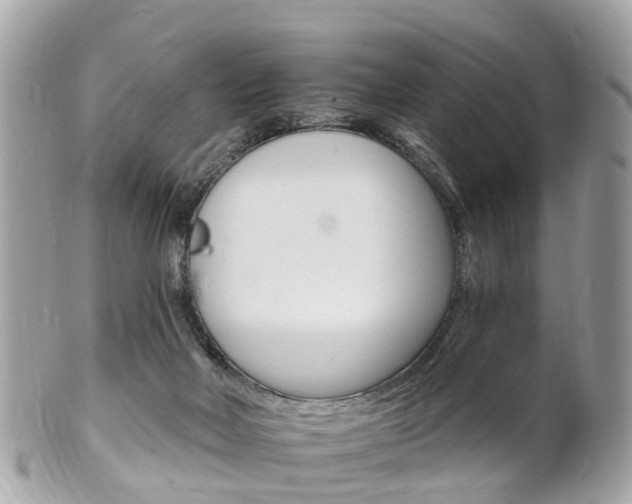 X0000102000026200807180858