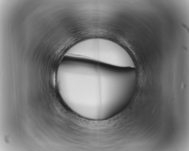 X0000102000027200807180858