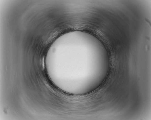 X0000102000028200807180858