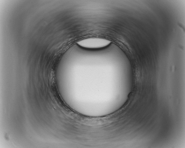 X0000102000029200807180858