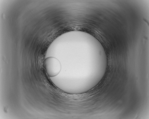 X0000102000030200807180858